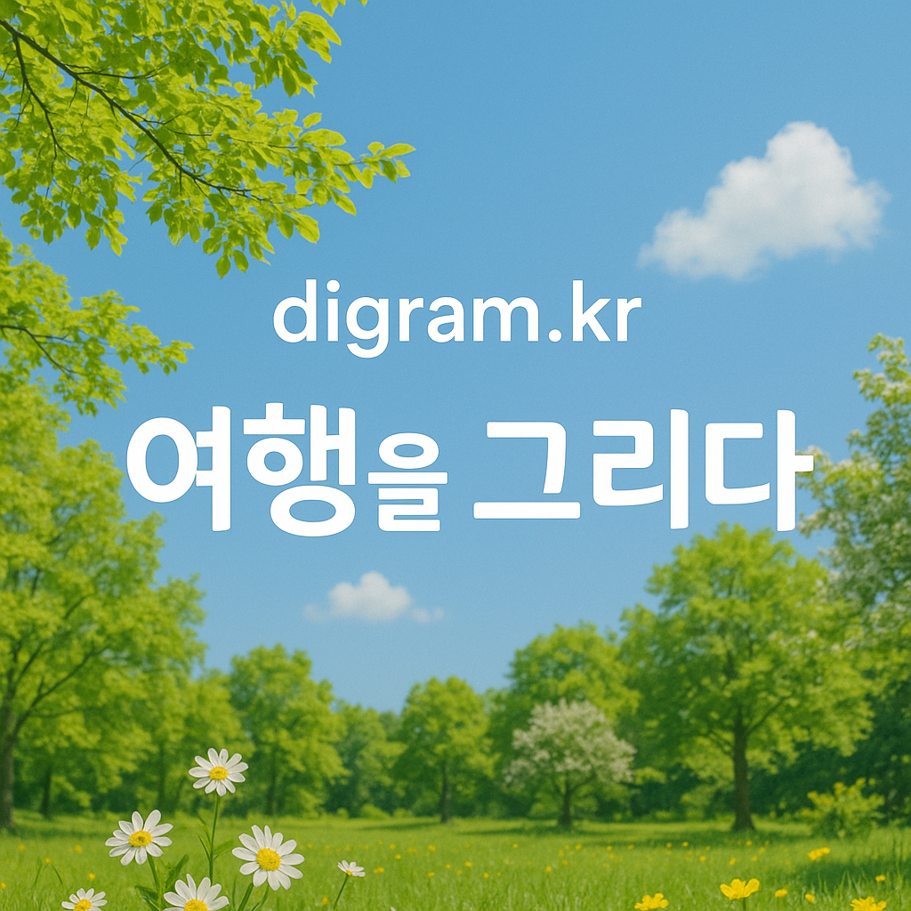 이미지 없음